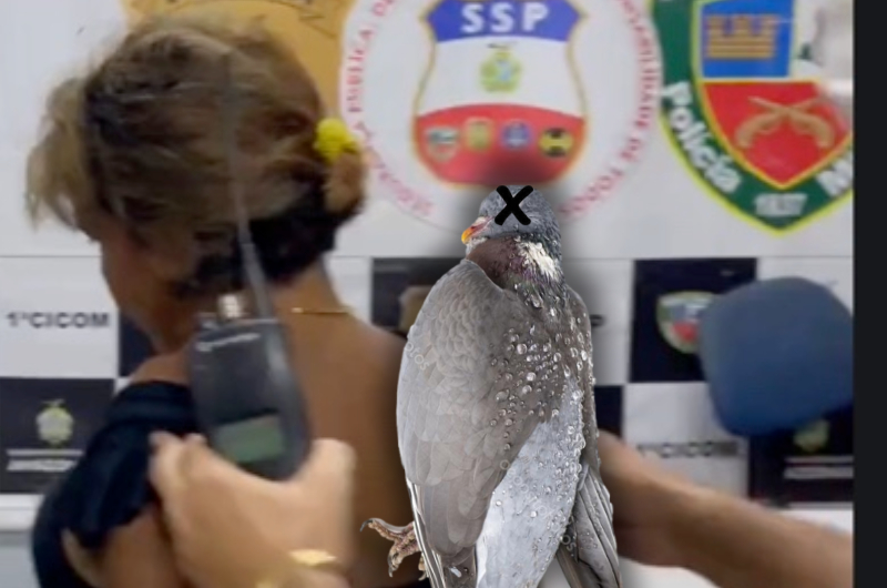 “Eu não cortei a pomb@ dele, ele era talarico!”, diz suspeita de ter matado marido em Manaus