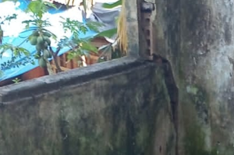 Vulgo 'Babuíno' é executado em construção abandonada no bairro São Francisco