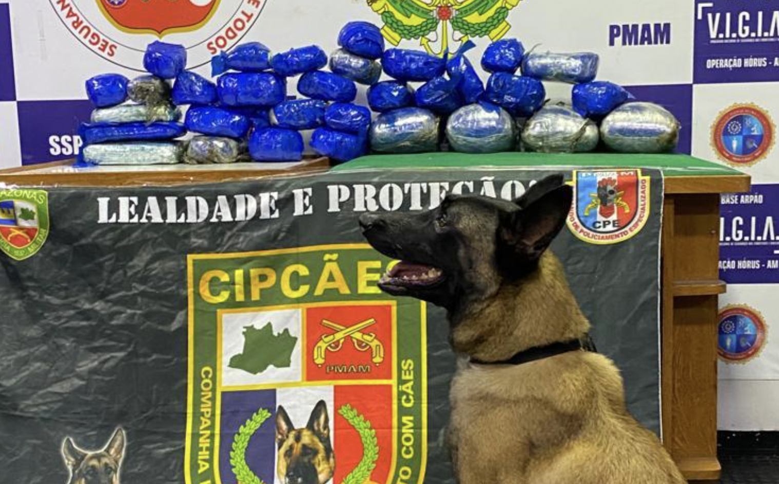 Mais de 30 quilos de drogas que abasteceriam toda Manaus são apreendidas