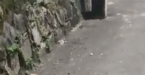 Traficantes fazem ‘rodízio’ para est0urar cabeç4 de rival; veja vídeo