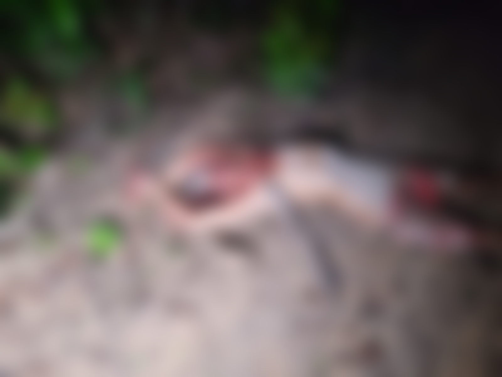 Homem é torturado e morto em campo próximo da avenida das Torres