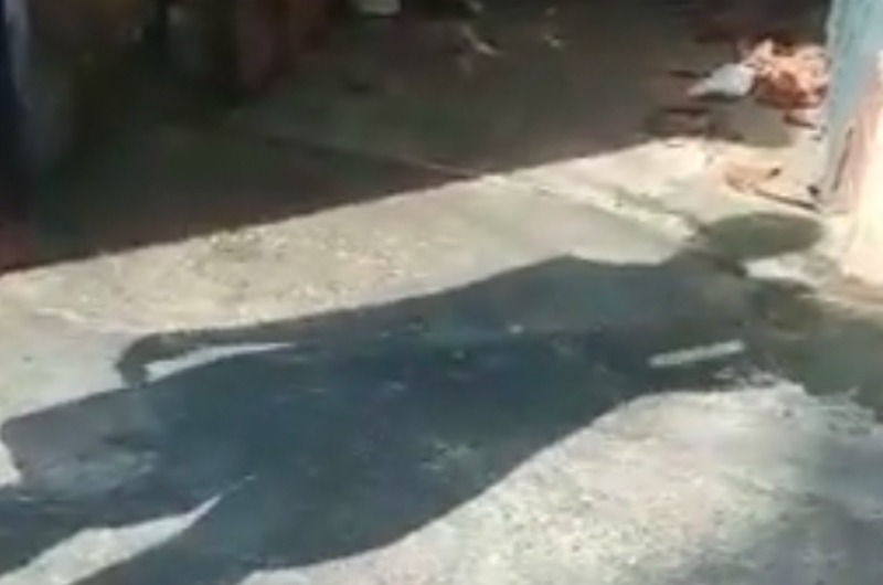 “Não escapou nem a sombra”, dizem moradores do Dom Pedro após "carinho" em ladrão