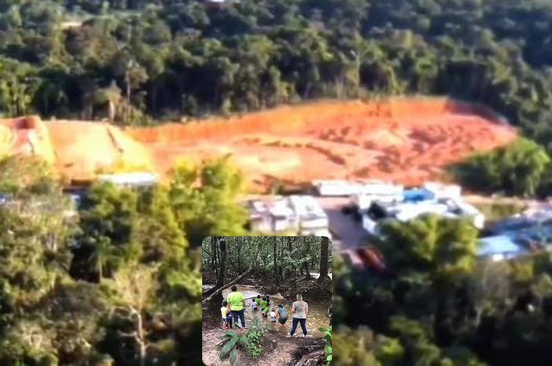 Empresa desmata área de preservação e ameaça último Igarapé não poluído de Manaus
