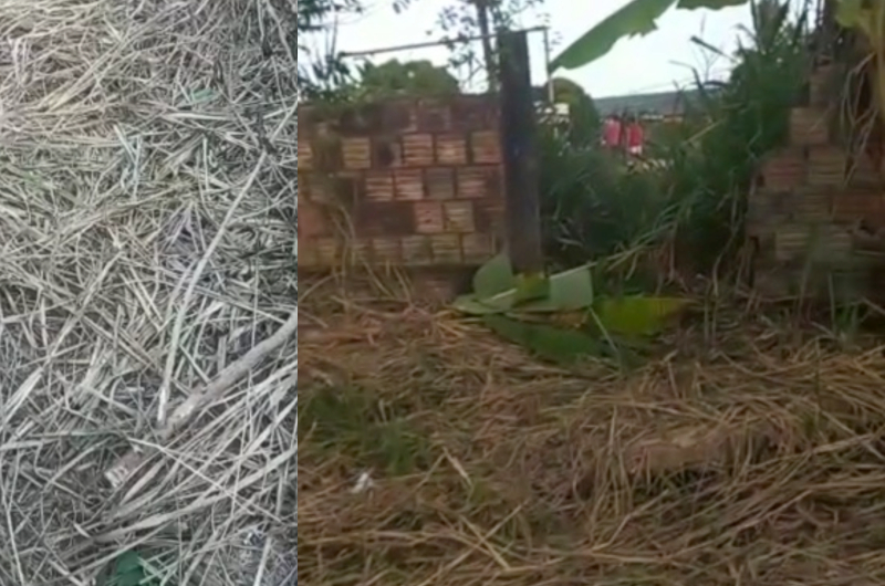 Moradores sentem cheiro de podridão e descobrem corpo no meio da palha na comunidade Jesus me Deu; veja vídeo