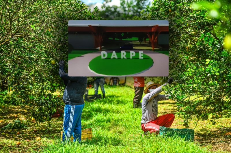 Biodarpe: Mais de 10 mil empregos serão gerados diretamente com projeto agroindustrial em Rio Preto da Eva