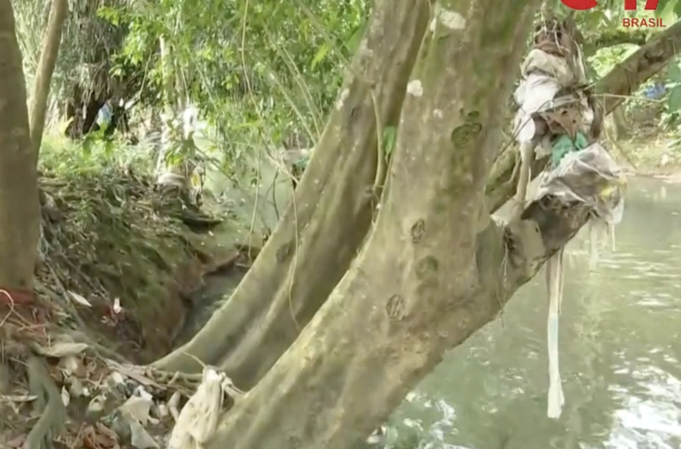 “Igarapé dos Franceses é o novo matadouro de Manaus” diz morador; veja