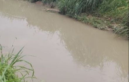 Urgente: moradores encontram corpo boiando em igarapé no Iranduba