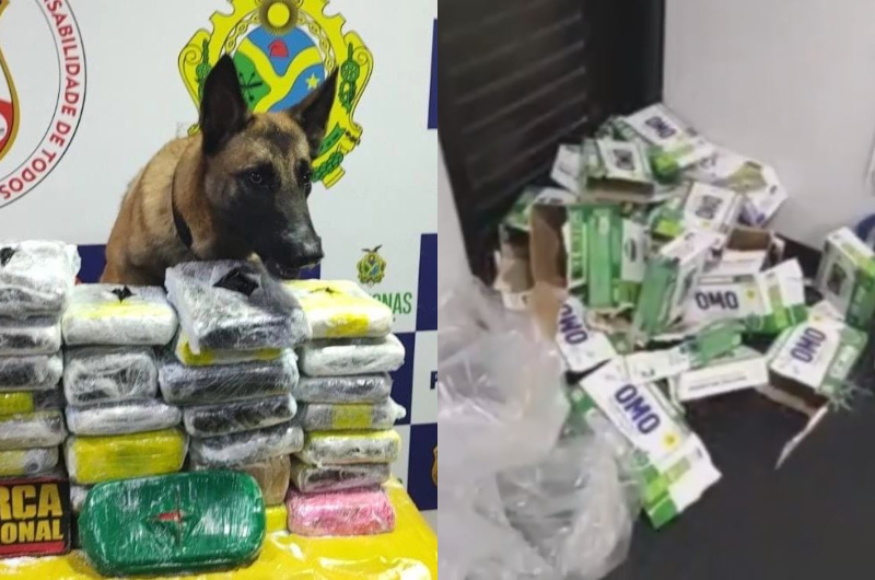 Cadela policial Luna fareja drogas em caixas de sabão em pó e lasca traficantes; veja vídeo