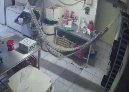 Padeiro é assassinado pelo próprio patrão por chegar atrasado no trabalho