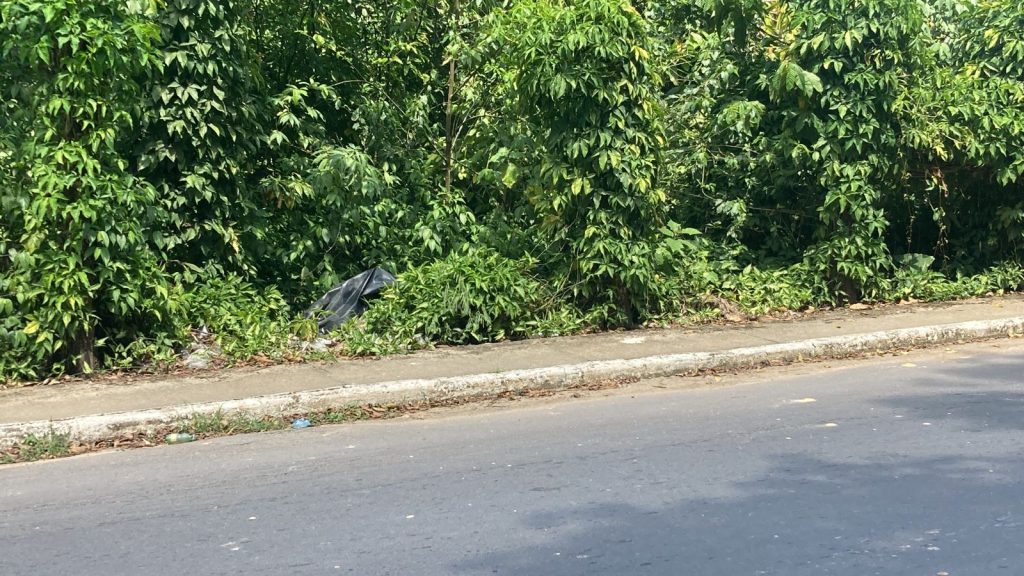 Urgente: traficantes desovam corpo em matagal da Avenida do Futuro, em Manaus; veja vídeo