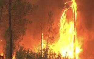 Homem é devorado por incêndio e tenta fugir com o corpo em chamas; veja vídeo