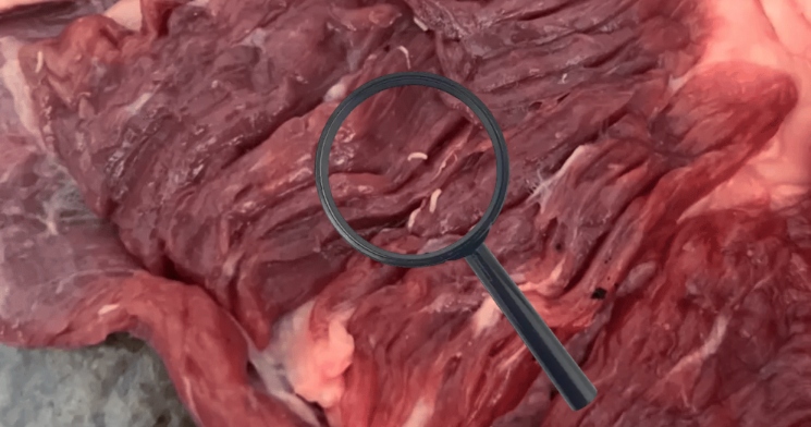 Após larvas serem achadas em peça de carne, churrasco termina em ‘vômito coletivo’; veja vídeo