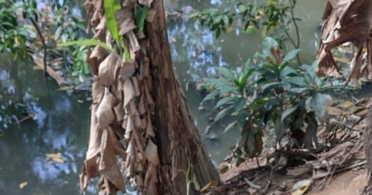 “Jogos mortais do tráfico parte 2”: novos pedaços são encontrados em área verde do Parque dos Bilhares; veja vídeo