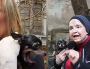Luisa Mell é criticada após tomar cachorro de moradora da 'Casa Abandonada'; veja vídeo