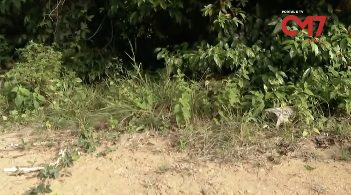 Urgente: jovem é encontrado morto em matagal do Distrito Industrial; veja vídeos