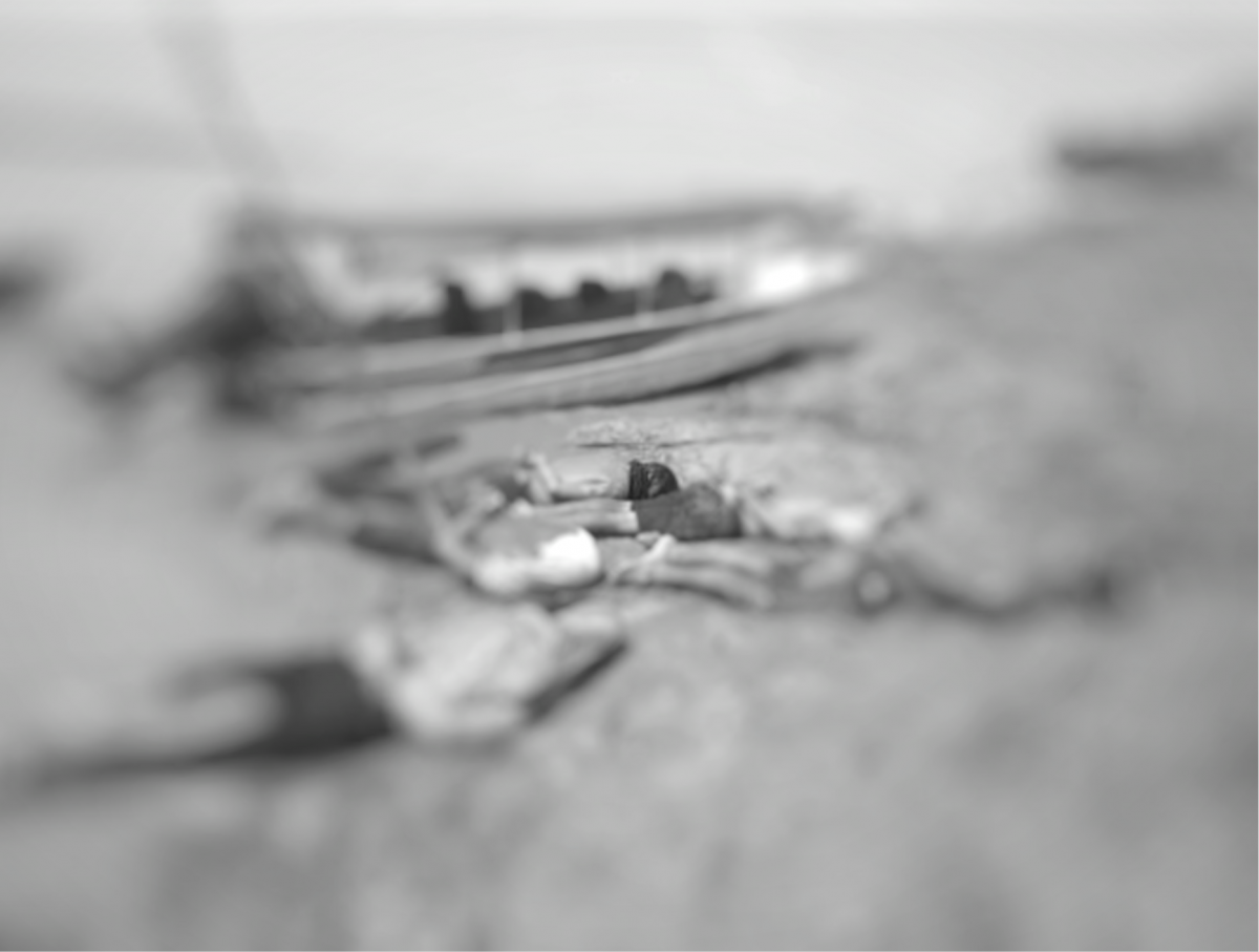 Urgente: oito pessoas foram encontradas mortas na cidade de Tonantins, no Amazonas; veja fotos