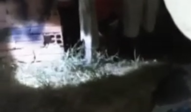 Facção divulga vídeo macabro após arrancar cabeça de rival em Itacoatiara; veja