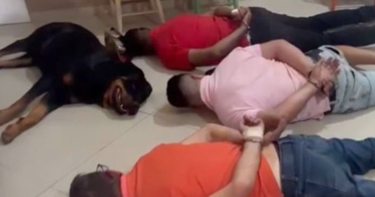 Cachorro deita e ‘se rende’ junto com os criminosos durante operação policial; veja vídeo