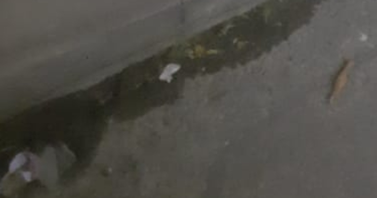 Macabro: sacos com corpo esquartejado são jogados por carro em estância no Centro; cenas fortes