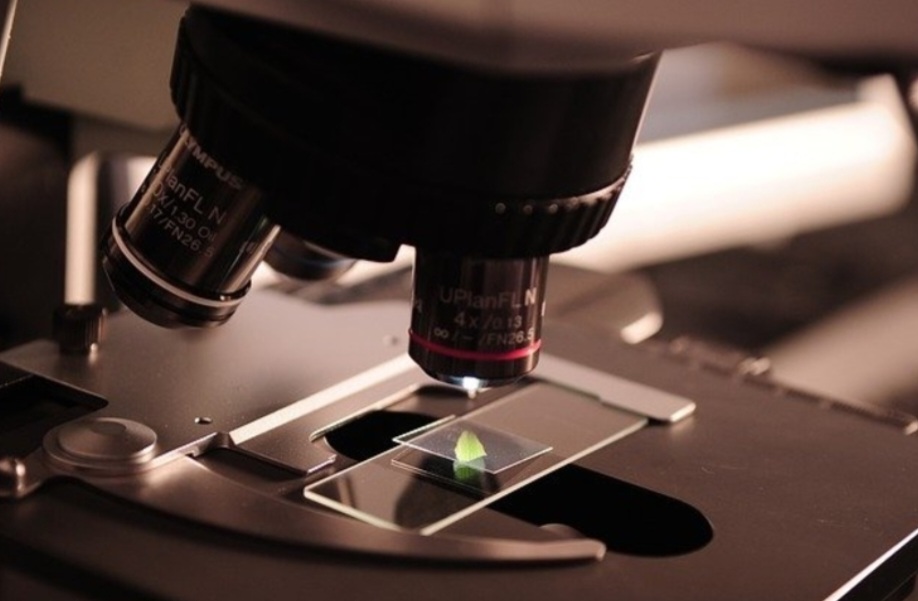 Projetos contemplados pela Fiocruz trazem investimentos de R$ 7,1 milhões para pesquisa no Amazonas