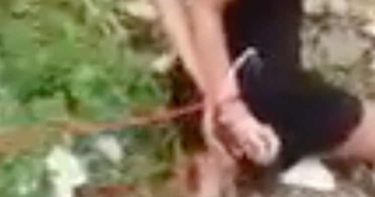 Mulher amarrada é brutalmente agredida com ‘pernamancas’ no tribunal do crime; veja vídeo