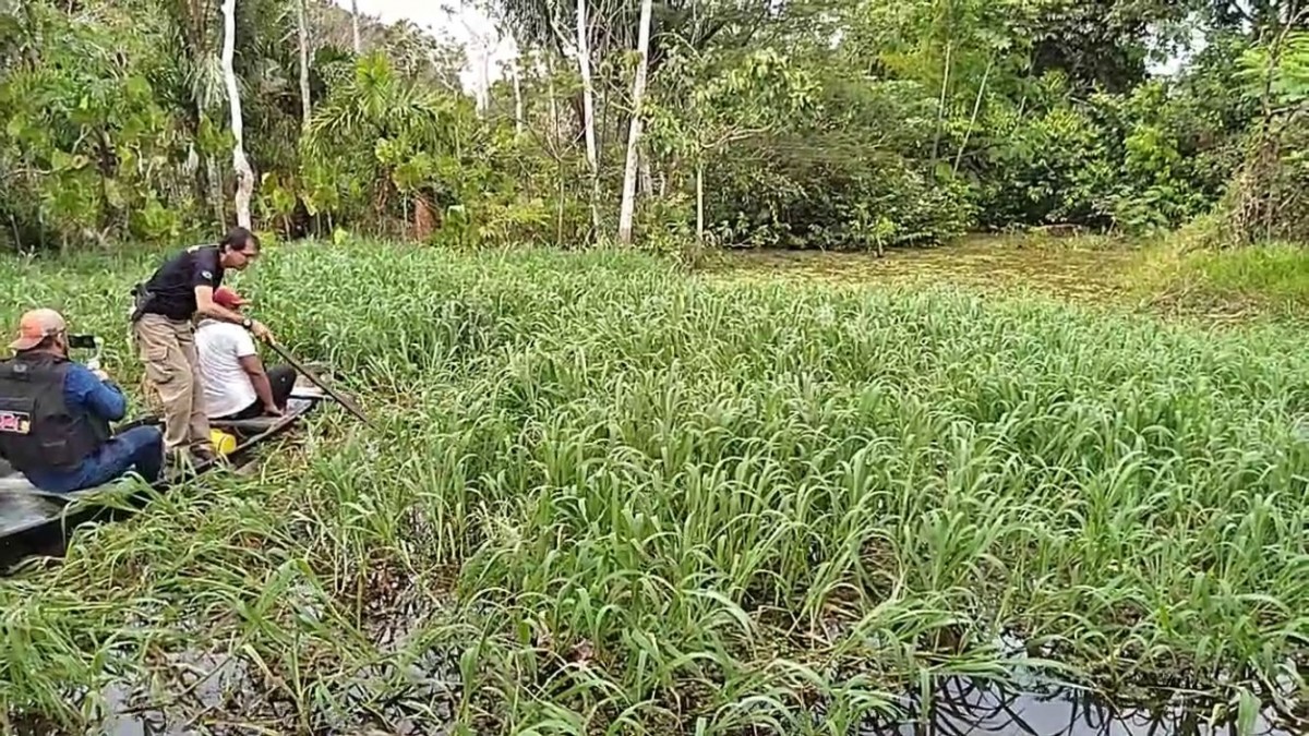 Urgente: cabeça humana é encontrada em Itacoatiara e populares acreditam ser de ”L7”; veja vídeo