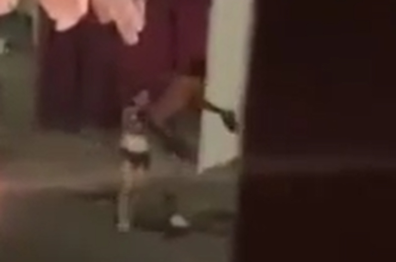 Inspirado no ‘Bruce Lee’, homem agride mulher que cai desacordada após golpe no rosto; veja vídeo