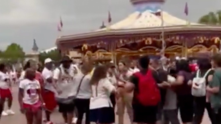 Mickey sai correndo durante porradão no Parque da Disney; veja vídeo