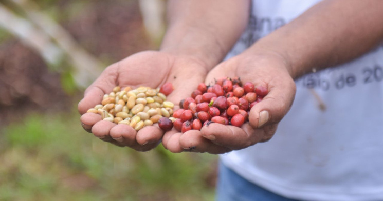 Deputado João Luiz destaca que suas emendas parlamentares fortificaram a agricultura no Estado do Amazonas