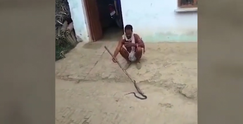 Homem brinca “cutucando” cobra venenosa e o pior acontece; veja vídeo