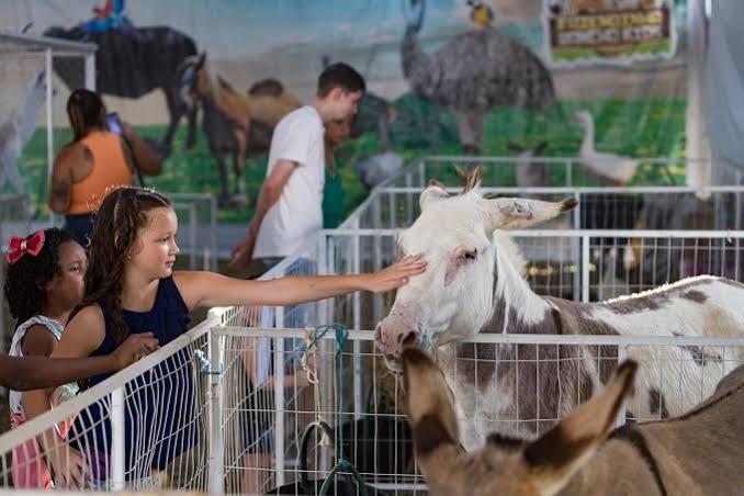 Rodeios, palestras e shows: fique por dentro de toda a programação da Expoagro 2022 em Manaus