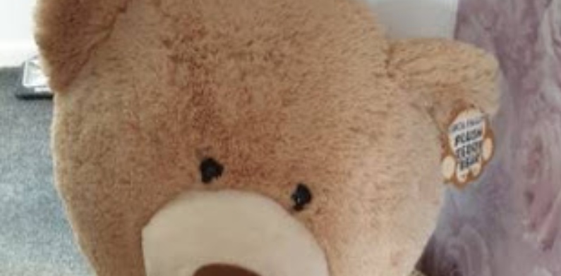 Assaltante é preso após tentativa frustrada de se esconder dentro de urso de pelúcia