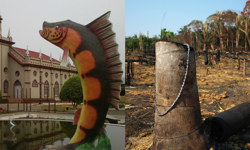 População denuncia e Ministério Público vai investigar crime ambiental em Lábrea