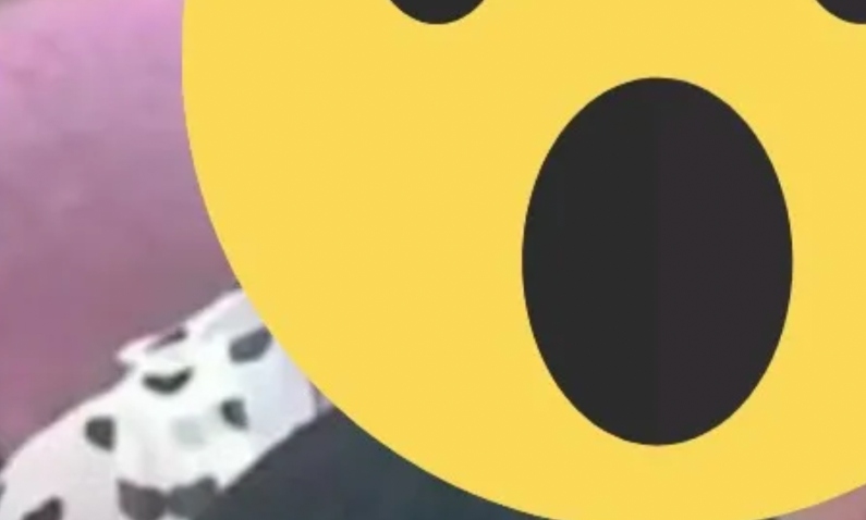 Influenciadora digital que pagava de ‘deusa’ na internet é desmascarada ao vivo; veja