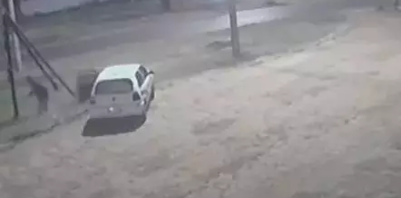 A casa caiu: homem ‘enraivado’ acusado de matar duas pessoas por bolada em carro é preso; veja vídeo