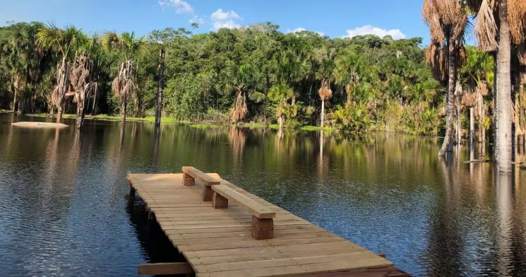 MPF entra com ação contra loteamento clandestino Paraíso dos Lagos, em Manaus