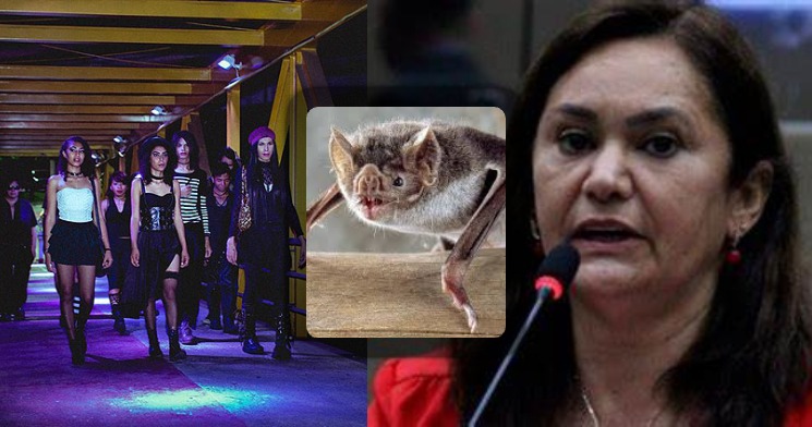 Absurdo: Sem ter o que inventar, vereadora cria “Festival dos Morcegos” em Manaus