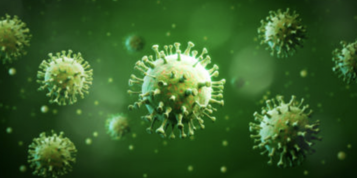 Novo vírus, Langya infecta 35 pessoas na China e preocupa a população