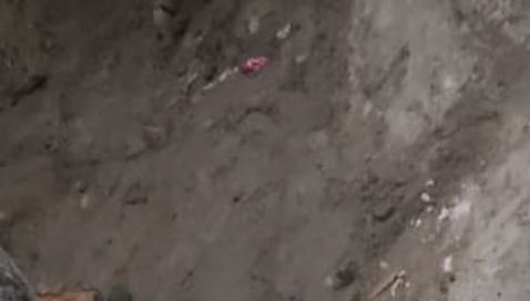 Moradores do Colônia Terra Nova  fazem justiça com as próprias mãos e lincham suposto estuprador