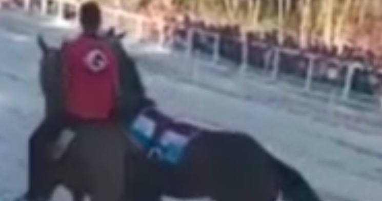 Cavalo ‘capota’ e fica agonizando no chão durante corrida clandestina no interior do AM; veja vídeo