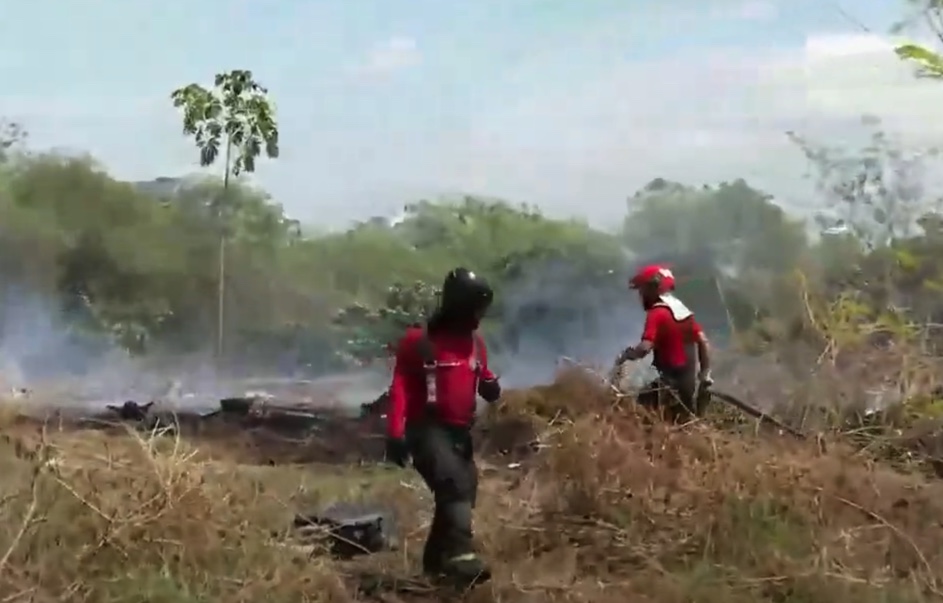 Incêndio criminoso próximo da Bola do Coroado é controlado pelo Corpo de Bombeiros; veja vídeo