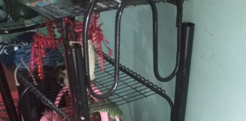 Urgente: homem e mulher são executados a tiros dentro de casa no Lago Azul; cenas fortes