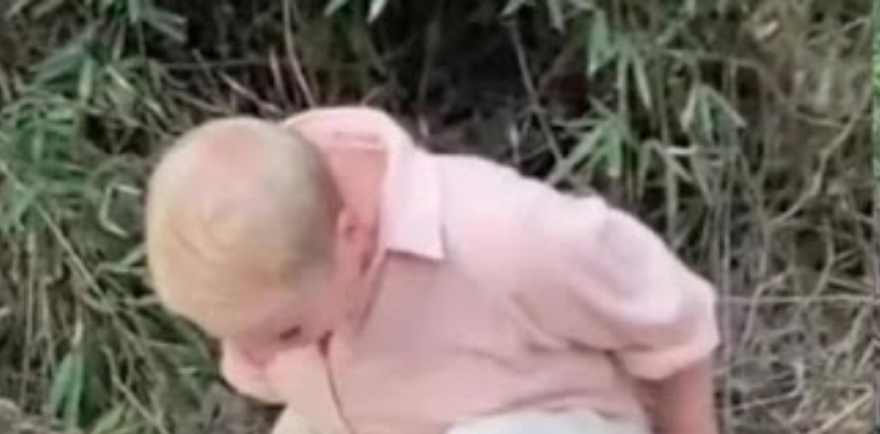 Angélica “sem querer” vaza vídeo de Xuxa ‘arriando o barro’ em matagal; veja