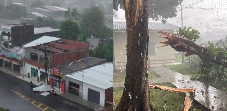 Temporal destelha casas, derruba árvores e causa prejuízos a moradores em Parintins; veja vídeos