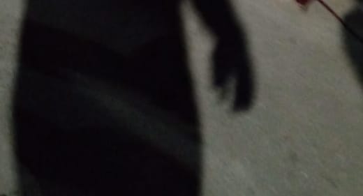 Homem é executado com tiros na cabeça no Tarumã; veja