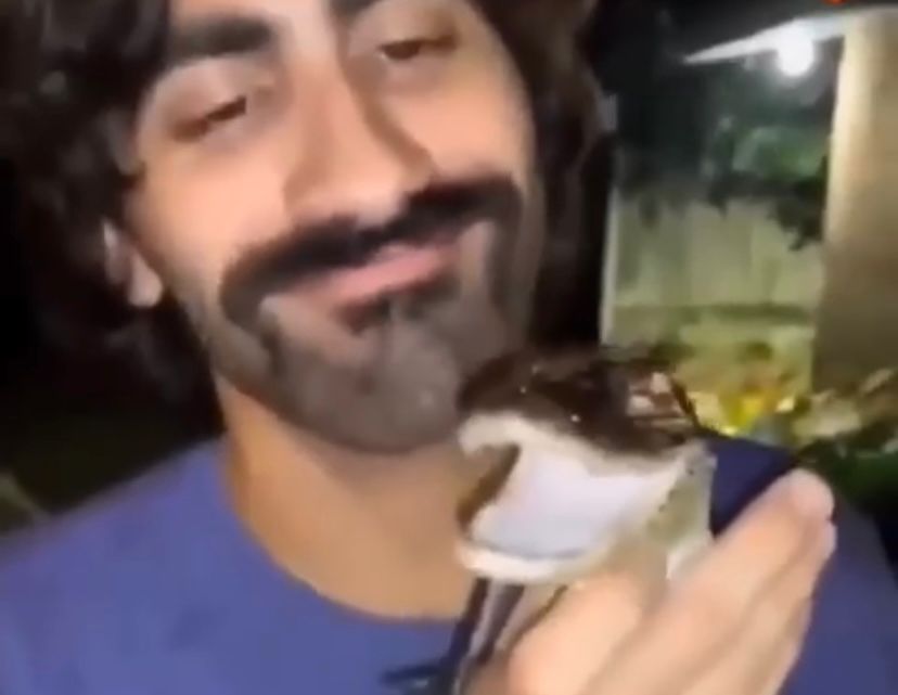 Após fumar maconha, homem confunde jacaré com cachorro; veja vídeo