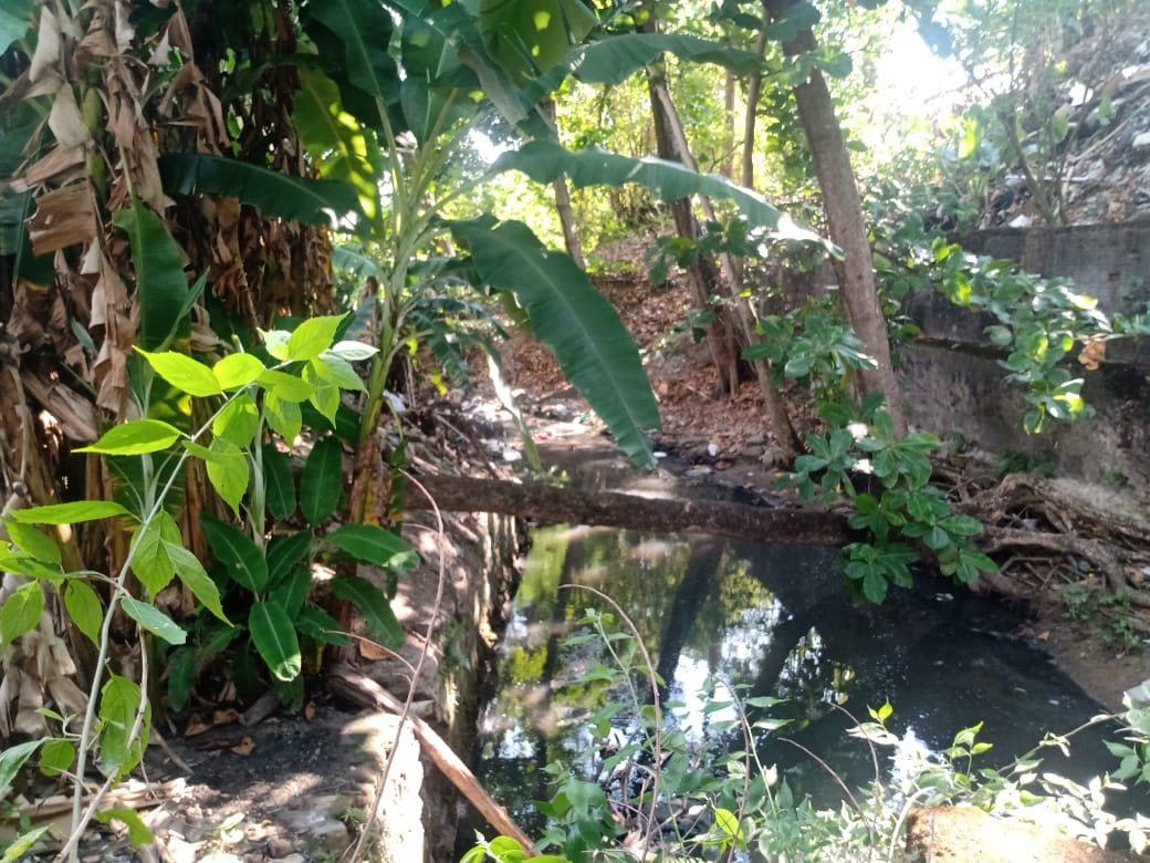 Urgente: corpo é encontrado amarrado dentro de igarapé no Centro de Manaus