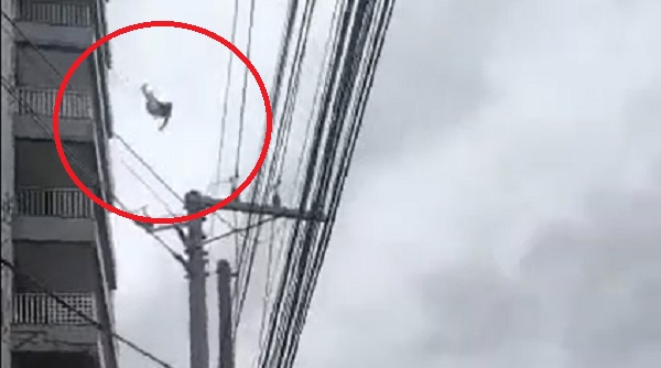 Estagiário se joga do 7º andar de escritório de advocacia após ser ‘humilhado’