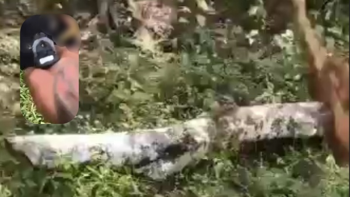 Nasceu de novo: arma falha e bandido escapa de ter a cabeça estourada; veja vídeo