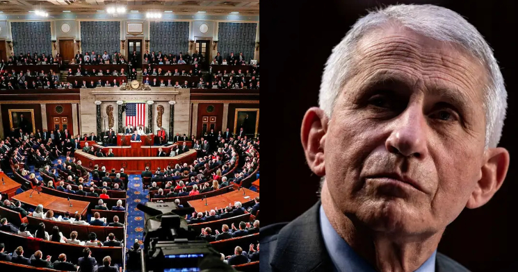 “Vamos atrás de você, quer você se aposente ou não’, dizem senadores americanos sobre crimes de Anthony Fauci